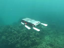 Additional AQUA project image.